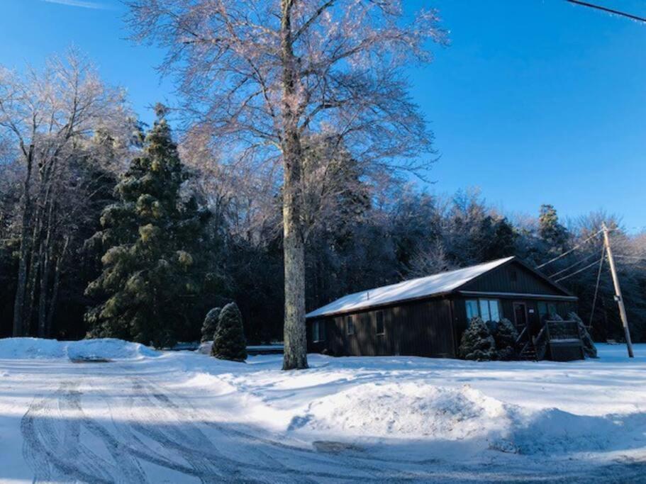 Catskills Cottage By The Lake, Sullivan County Rock Hill Exteriér fotografie